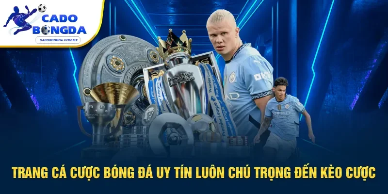 Trang cá cược bóng đá uy tín luôn chú trọng đến kèo cược