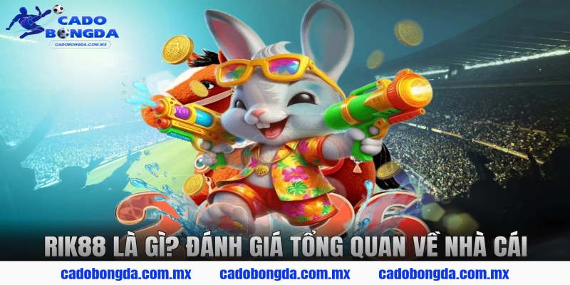 RIK88 Là Gì? Đánh Giá Tổng Quan Về Nhà Cái